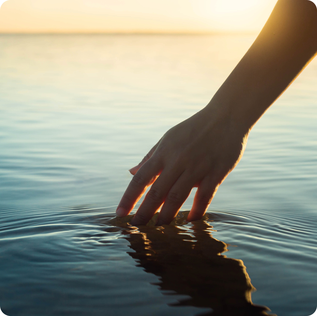 Serene moment by the water's edge.