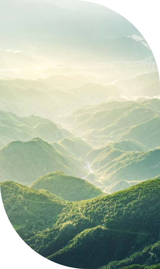 Serene green hills under sunlight