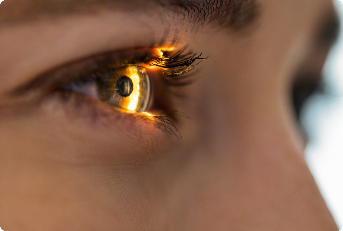 Close-up of eye with golden light reflection